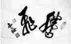 腾飞吧中国演讲稿5篇