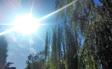 大班天气预报教案5篇
