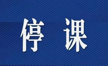 停课不停学线上教学总结5篇
