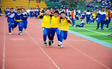 幼儿体育活动方案活动方案优质5篇