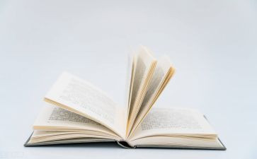 小巴掌童话一读后感5篇