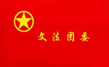 所团委工作总结推荐7篇