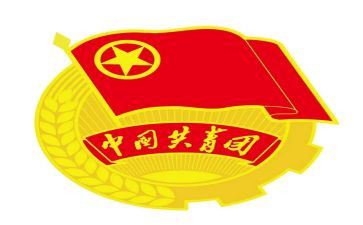 团支部年度年度工作计划7篇