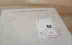 请保护青蛙作文7篇