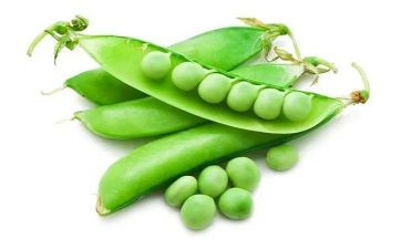 豌豆上公主的读后感6篇