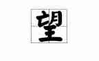 2023我的新年愿望作文600字8篇