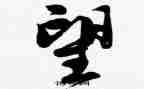 《望》作文六年级600字最新7篇