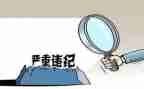 违纪和教育警示心得体会8篇