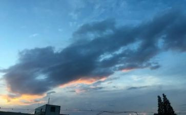 我的一天初中作文600字8篇