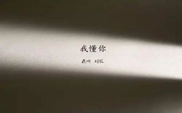 我读懂了你作文7篇
