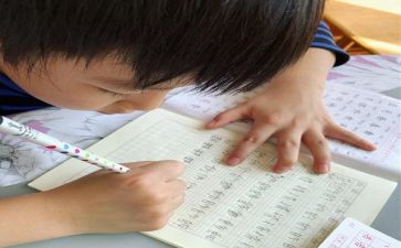 我想变成草的作文推荐8篇