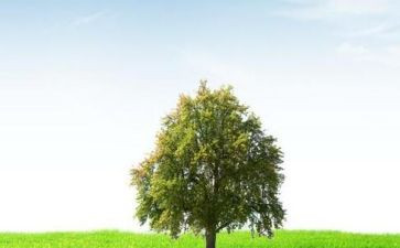 我在变作文500字参考5篇