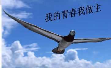 你我的青春我做主演讲稿5篇