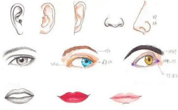 我的五官,作文8篇