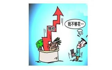 物价科个人总结5篇