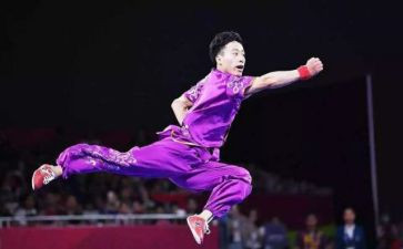 武术进校园活动总结8篇