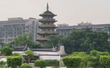 乌塔课文读后感7篇