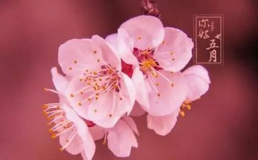 五月演讲稿6篇