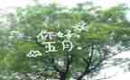 五月中班工作总结6篇