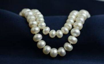 幼儿园中班小刺猬的项链教案7篇