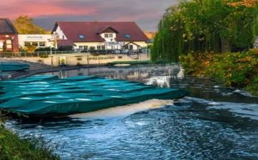 我的先生读后感5篇