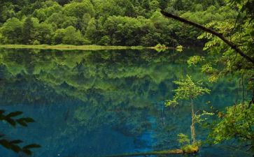 先生读后感500字8篇