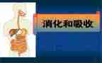 消化内科工作总结5篇