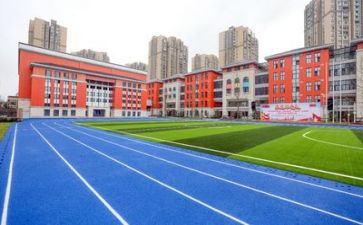校园工作总结计划8篇