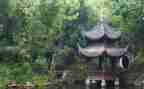 写物的作文400字作文8篇