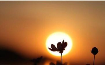 心灵的桥作文800字8篇