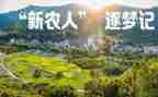 村新农保的工作总结6篇