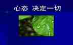 环境与心态作文5篇
