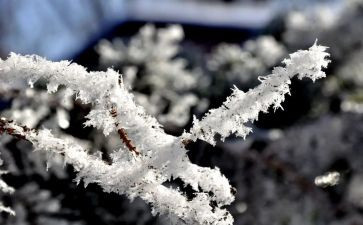 除雪合同模板模板6篇