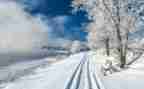 四年级作文《雪》400字优秀6篇