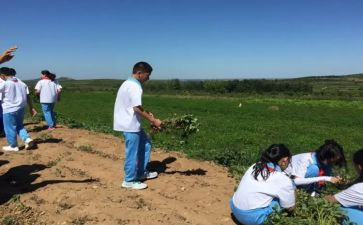 军训学农心得体会7篇