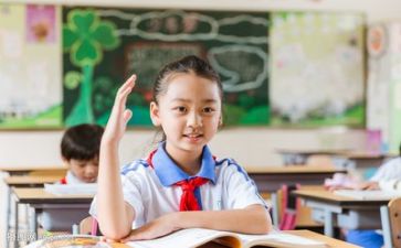 教师专业标准学习心得8篇