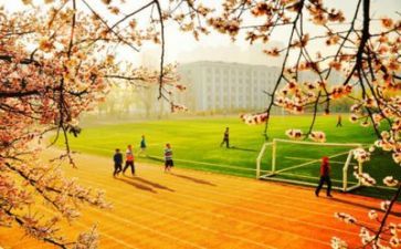 学校食堂工作计划范文6篇