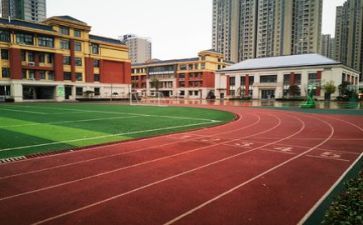 学校培训工作年度总结8篇