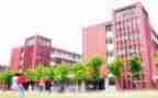 2023学校年工作总结5篇