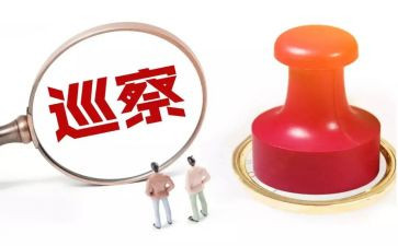 巡察党支部工作汇报材料7篇