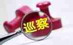 2024年巡察干部述职报告8篇