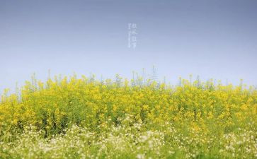 中考叙事作文满分范文6篇