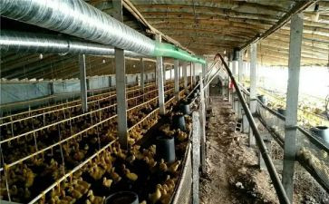 租养殖场合同优质8篇