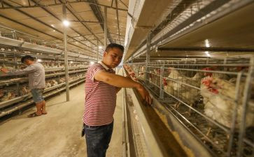 租养殖场合同推荐5篇