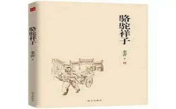 该有的样子作文5篇