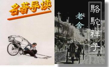 青春的样子演讲稿5篇