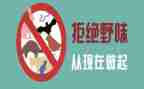 拒绝野味演讲稿8篇
