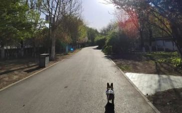 财务的下一步工作计划6篇