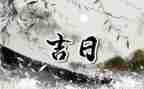 女大学生一个月的工作总结7篇