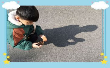 幼儿园中班踩影子教案5篇